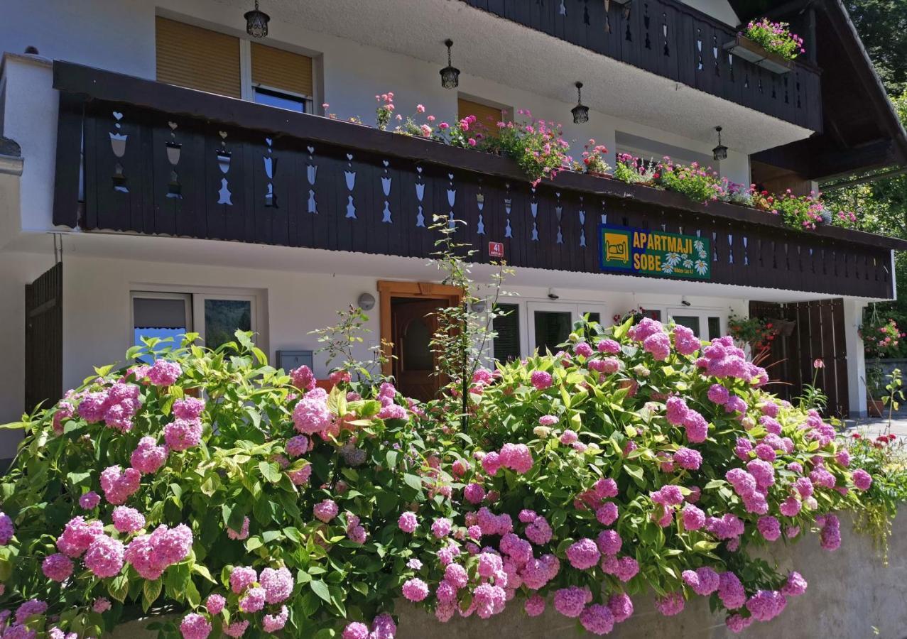 Accommodation Destina, Lake Bohinj Eksteriør bilde