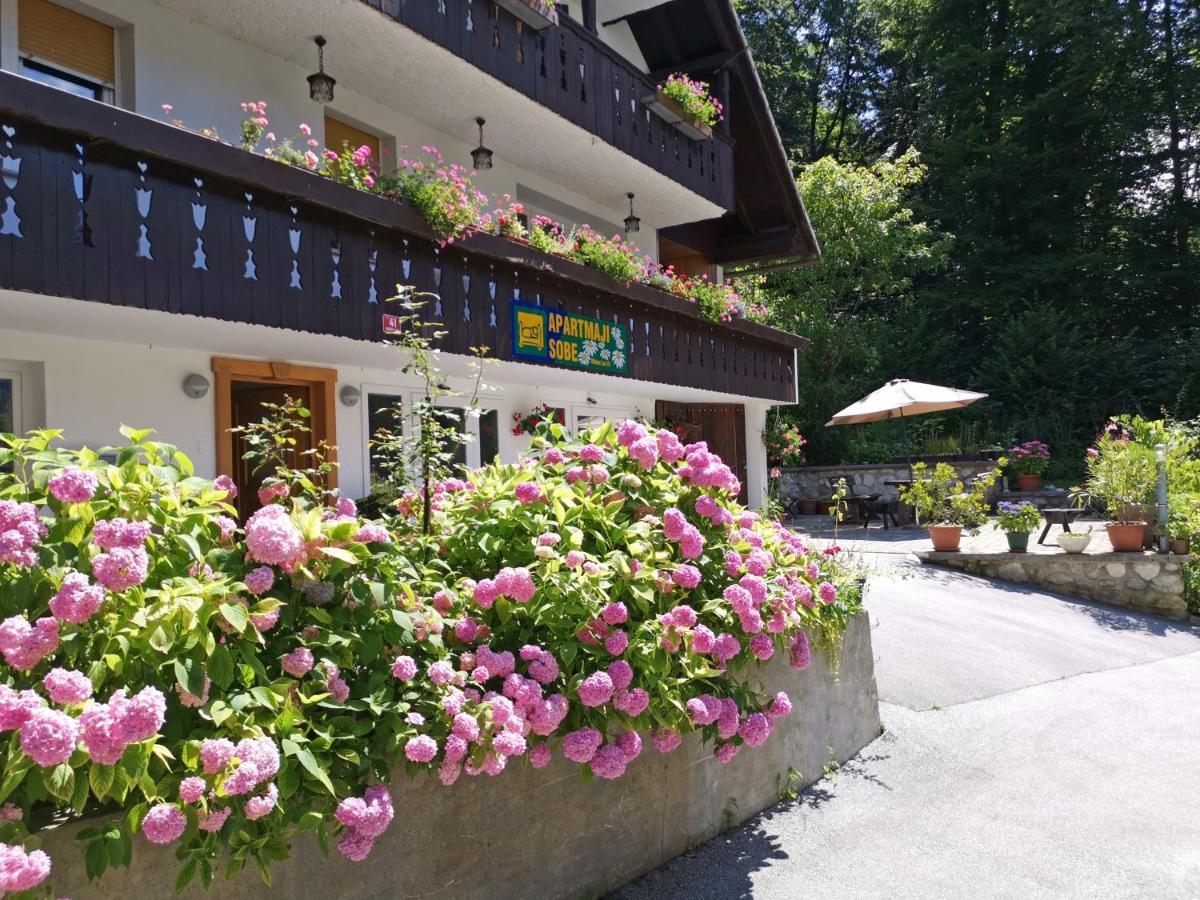 Accommodation Destina, Lake Bohinj Eksteriør bilde